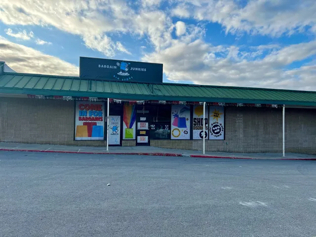 Bargain Junkies Bin Store