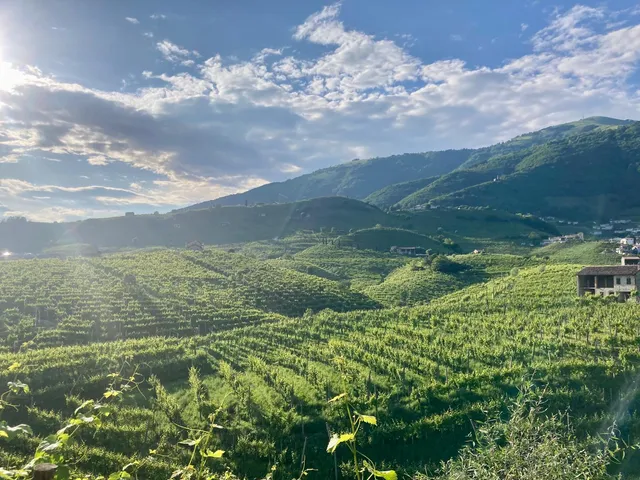 Azienda Agricola La Casa Vecchia