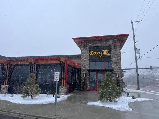 Lazy Dog Restaurant & Bar