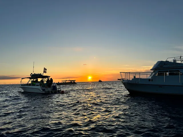 Kona Ocean Adventures