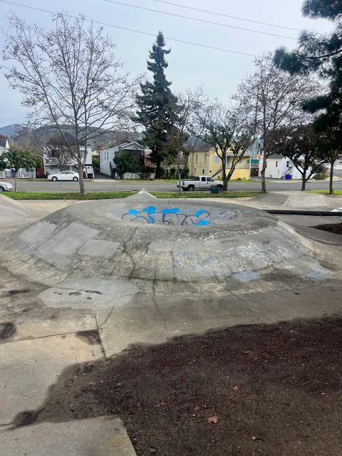Downtown Napa Skateboard Park