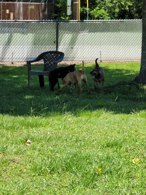 Slidell Animal Control