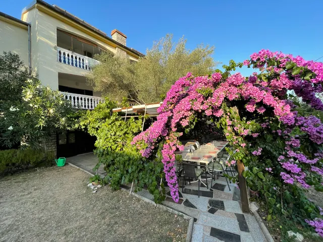 Apartmani (Guesthouse) Vila Ruzmarin