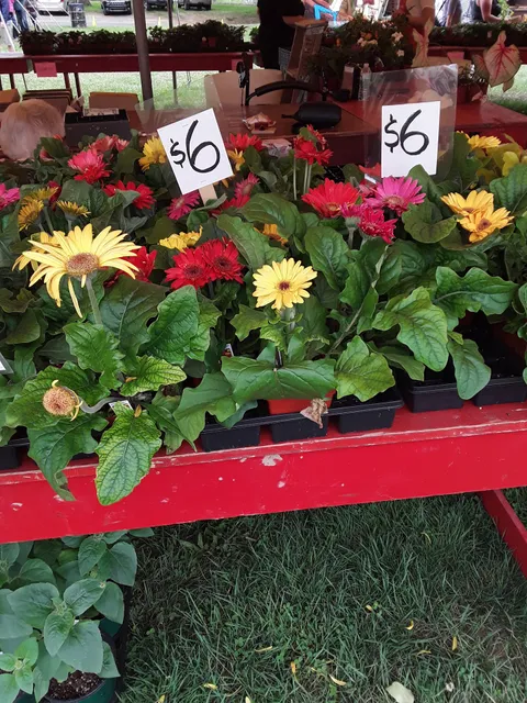 Wilmington Flower Market Inc