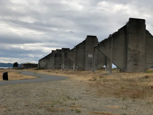 Chambers Bay Loop Trail Head