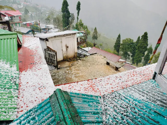 Tashi delek homestay