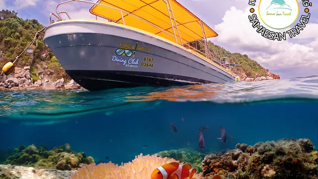 Samae san travel ดำน้ำแสมสาร