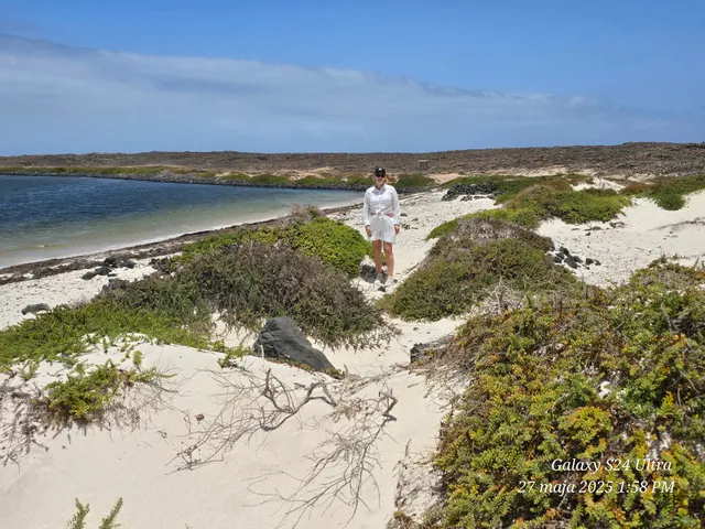 Apartamento Mar del Norte