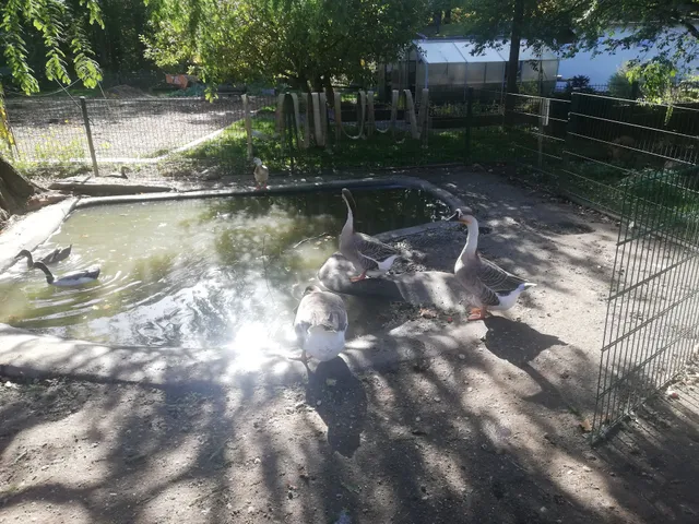 Tiergehege im Botanischen Garten Chemnitz