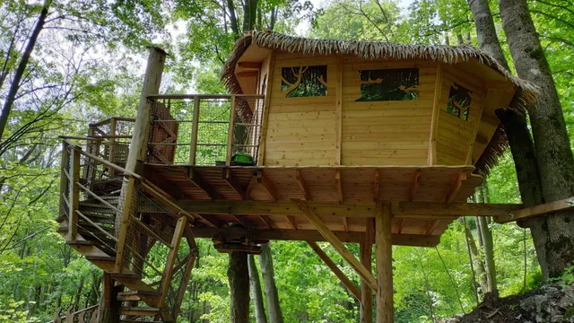 Tree house under Jested