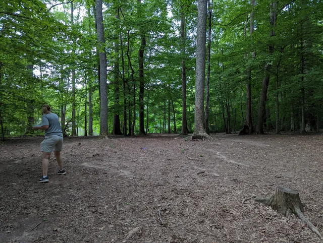 Burke Lake Disc Golf