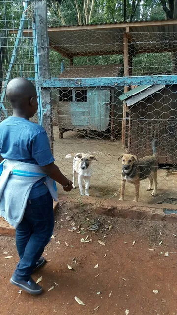 Kenya Society for the Protection & Care of Animals (KSPCA)