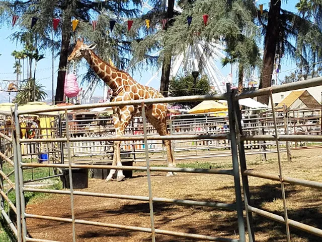 Gate 7, Pomona Fairgrounds