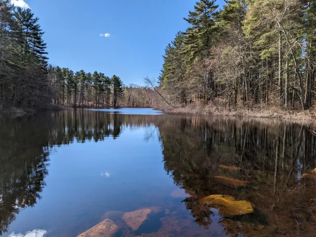 Noon Hill Reservation Trail Head