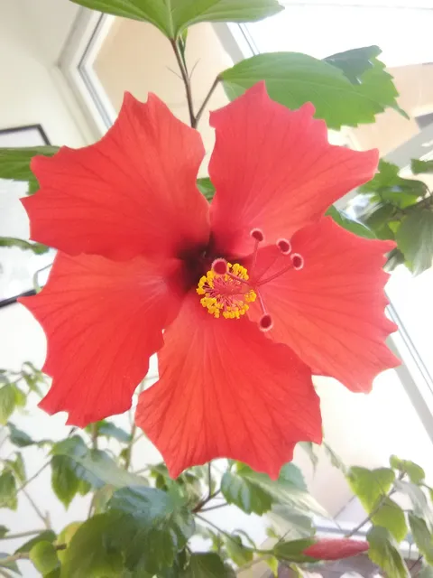 South Valley Growers' Market