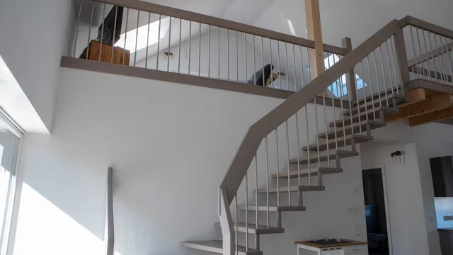 Schwarze Eule Ferienwohnung