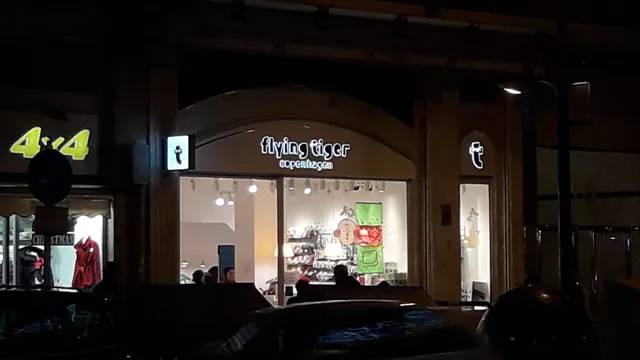 Flying Tiger Copenhagen