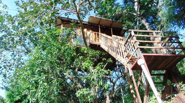 Amrutes' Nisarga Sahavas