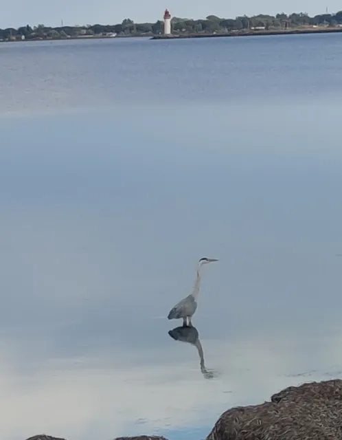 Vacances au calme face étang de Thau