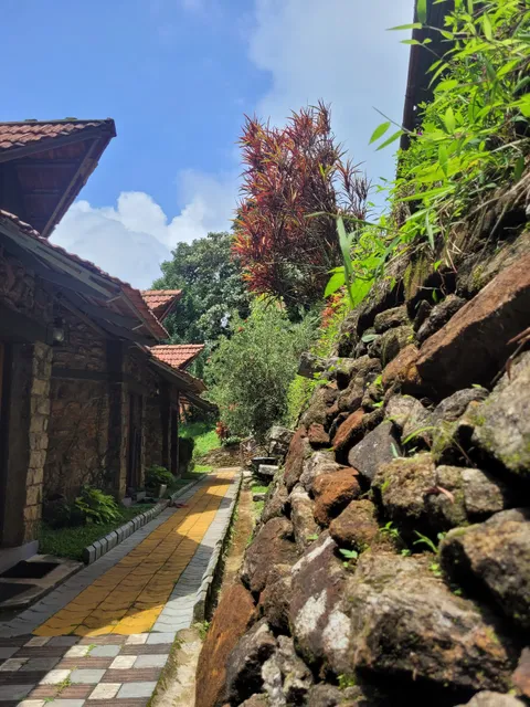 Saalugudda Resort, Sakleshpur