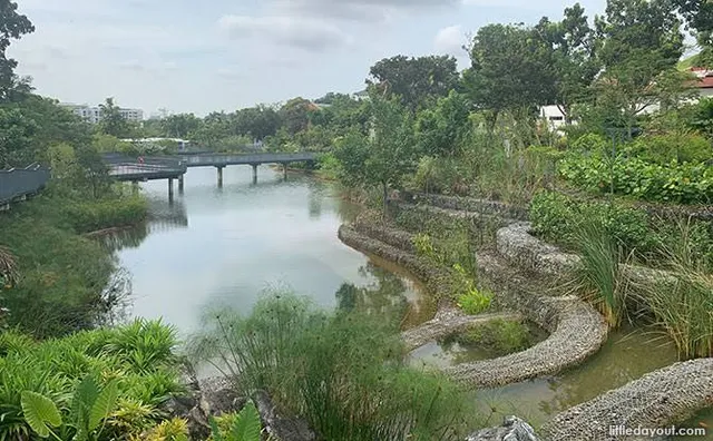 Nanyang Lake