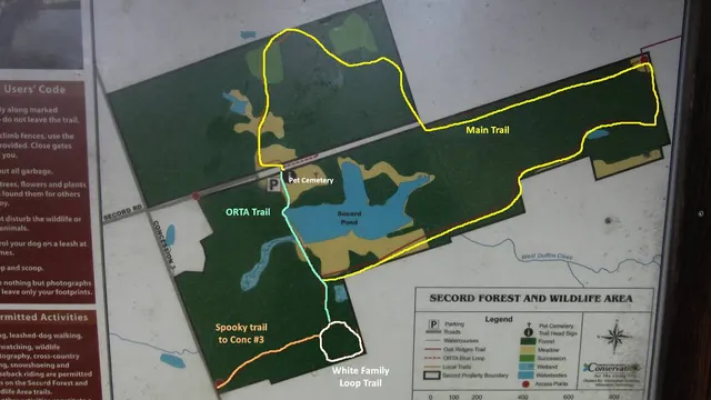 Secord Forest Oak Ridges Trail