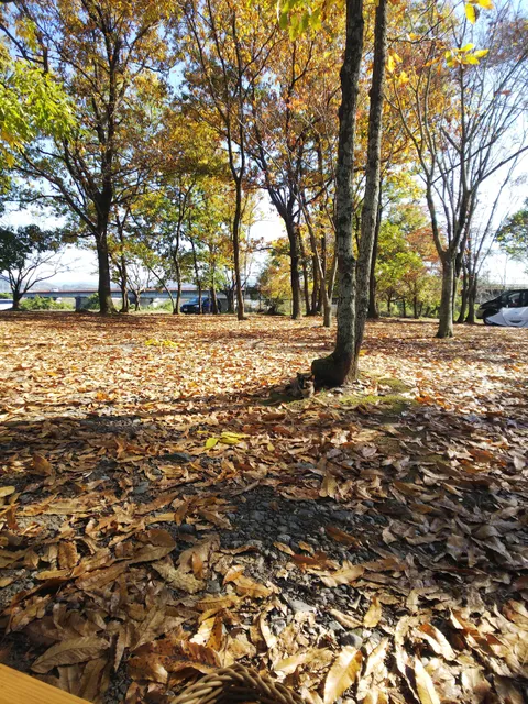 Tsushida Kasen Natural Park