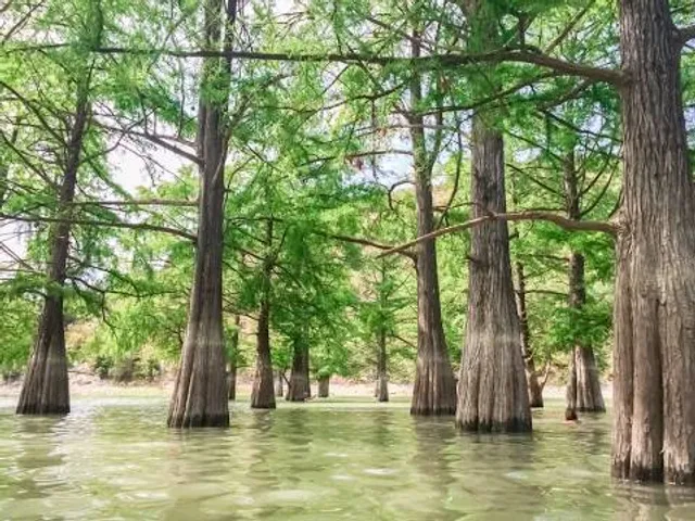 Cypress Grove Nature Park