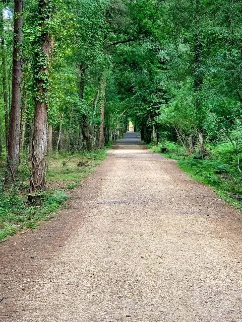 Avon Heath Country Park