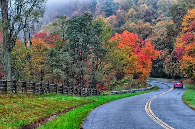 Tomlinson Run State Park