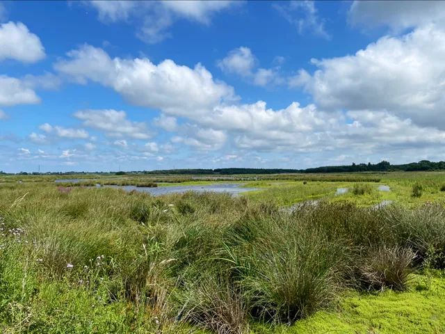 Lunt Meadows Nature Reserve