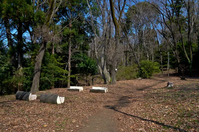 photo-2