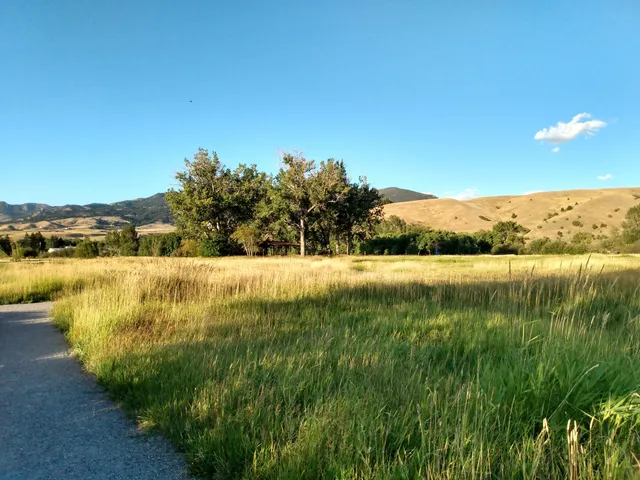 photo-2