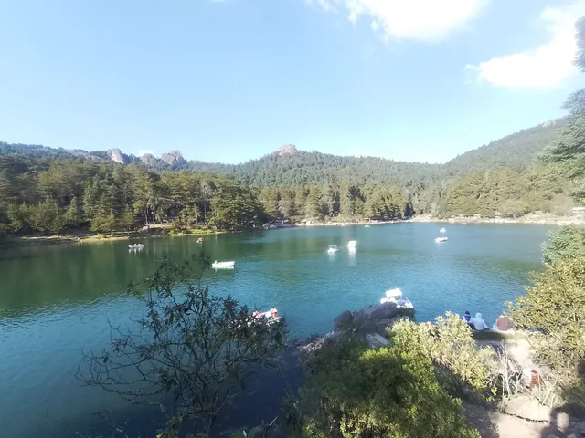 Doña Cata’s Trouts