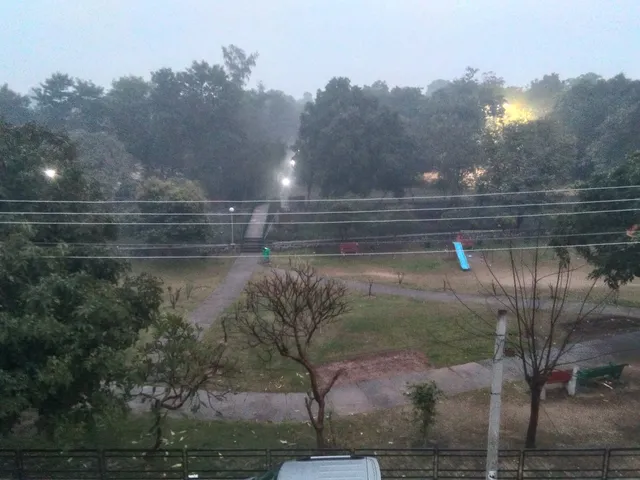 Bulbous Garden In Leisure Valley