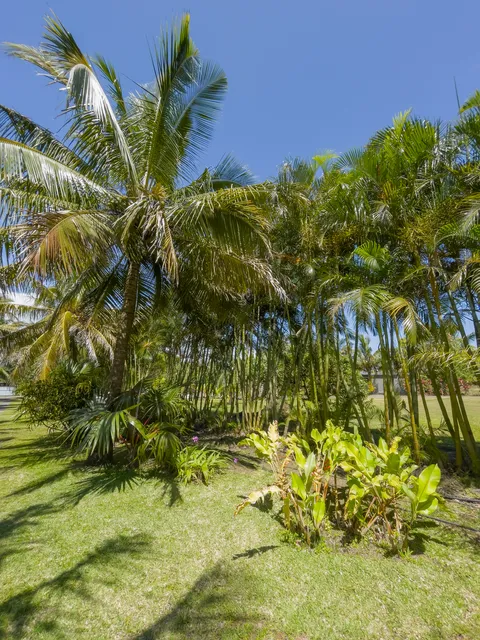 The Garden of 1001 flavor