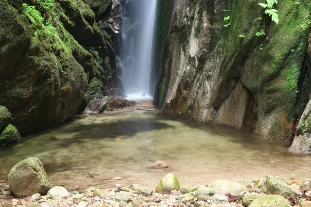 Tamaminesan Forest Park
