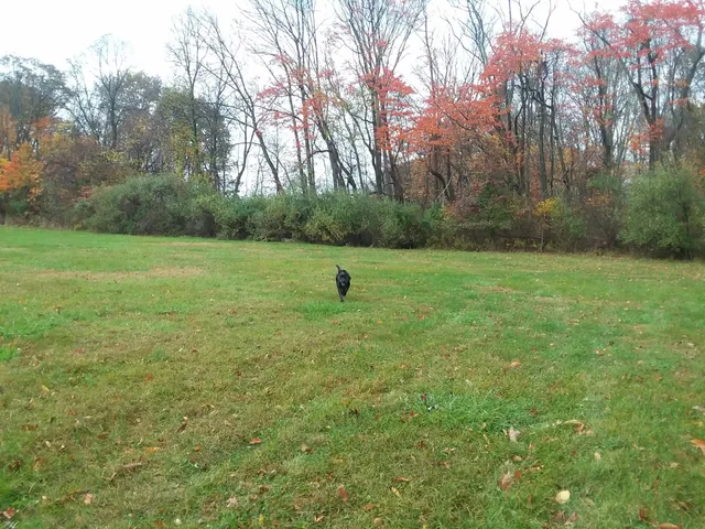 Teetertown Ravine Nature Preserve