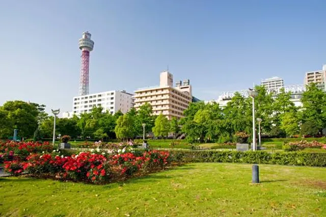 photo-2