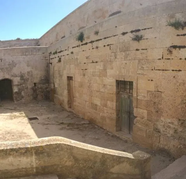 Archaeological Site Museum, Lothal