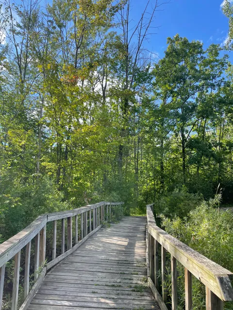 Harvey Randall Wickes Park