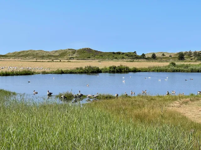 Vogelkijkscherm Alloo