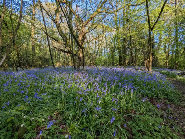 Bedelands Nature Reserve