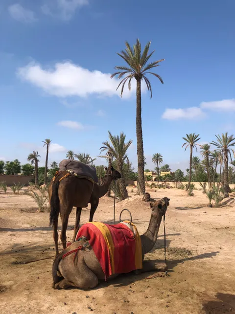 El Palmeral Marrakech