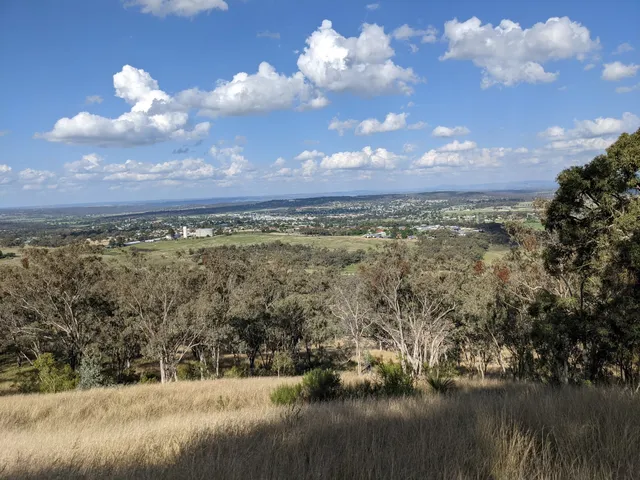 McIlveen Park Lookout