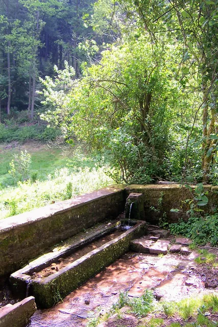 St. Maria in Lichtenklingen