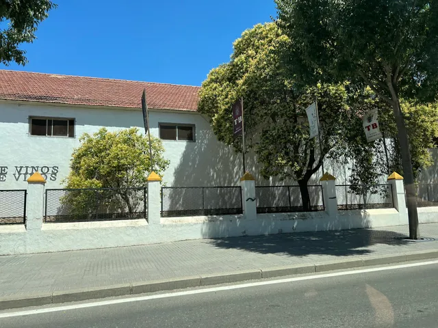 Bodegas Torres Burgos - Give the Best Wine