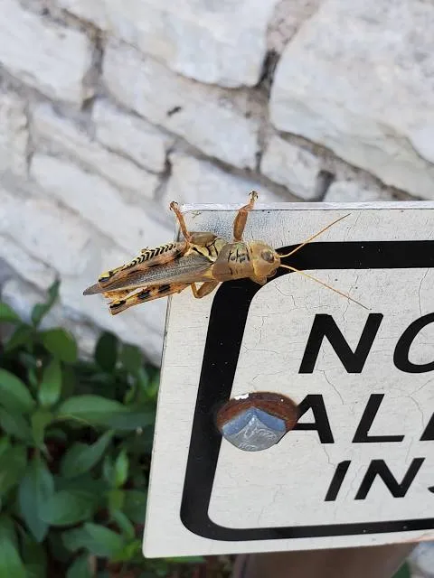 Parc aquatique Aqua Mundo Center Parcs Le Bois aux Daims