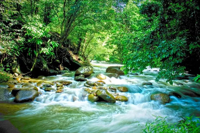 Sungai Chiling Fish Sanctuary