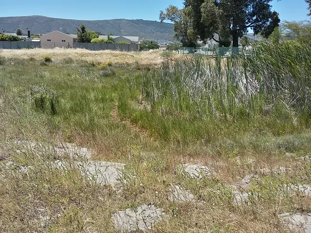 Bothasig Fynbos Nature Reserve